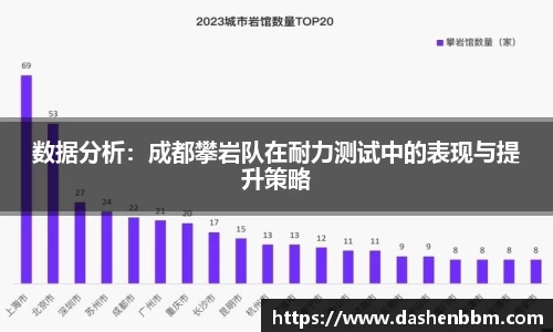 数据分析：成都攀岩队在耐力测试中的表现与提升策略